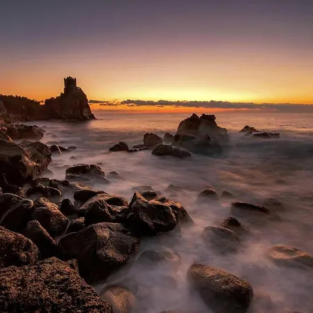 - Il Cavalluccio Marino Fronte Mare