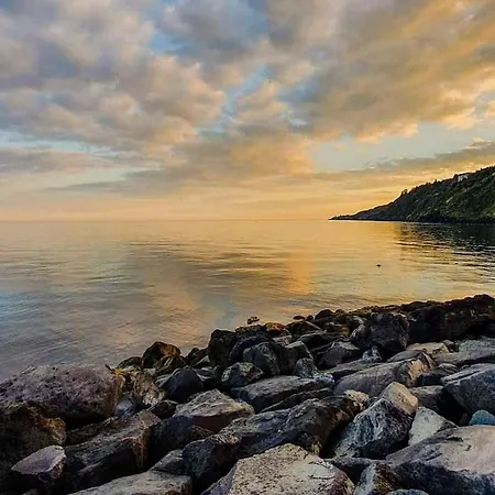 Bed & Breakfast - Il Cavalluccio Marino Fronte Mare 2*
